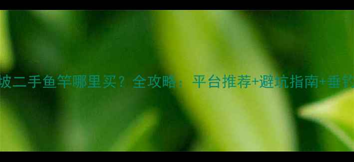 图片 新加坡二手鱼竿哪里买？全攻略：平台推荐+避坑指南+垂钓技巧