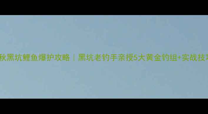 图片 春秋黑坑鲤鱼爆护攻略｜黑坑老钓手亲授5大黄金钓组+实战技巧2
