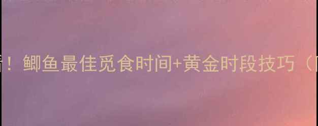 图片 晚上钓鱼必看！鲫鱼最佳觅食时间+黄金时段技巧（附实战攻略）