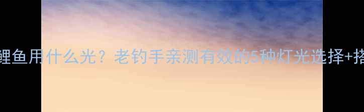 图片 晚上钓鲤鱼用什么光？老钓手亲测有效的5种灯光选择+搭配技巧