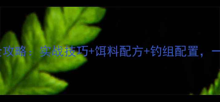 图片 最新野钓鲫鱼+鲤鱼全攻略：实战技巧+饵料配方+钓组配置，一鱼双收秘籍大公开！