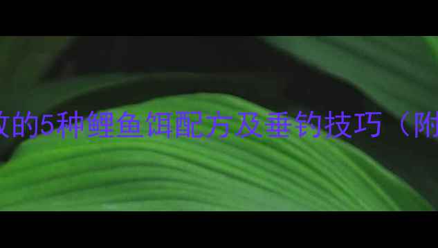 图片 汉中钓友亲测有效的5种鲤鱼饵配方及垂钓技巧（附免费获取方式）2