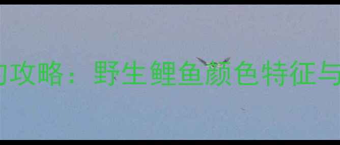 图片 河南开封野钓攻略：野生鲤鱼颜色特征与作钓技巧全1