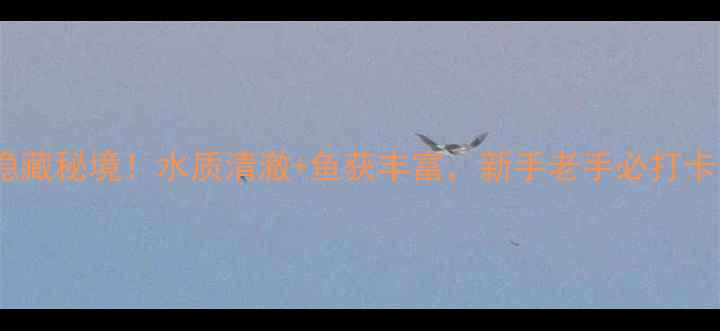 图片 泸州龙马潭垂钓隐藏秘境！水质清澈+鱼获丰富，新手老手必打卡的野钓天堂🎣🌾1
