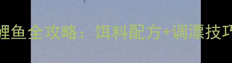 图片 浑浊河沟钓鲤鱼全攻略：饵料配方+调漂技巧+实战案例1