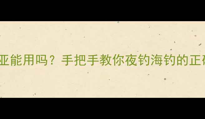 图片 海边夜钓路亚能用吗？手把手教你夜钓海钓的正确打开方式1