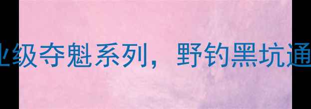 图片 淘宝热销鱼竿推荐：专业级夺魁系列，野钓黑坑通吃，高性价比装备指南2