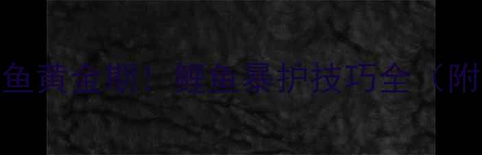 图片 清明节前钓鱼黄金期！鲤鱼暴护技巧全（附实战配方）