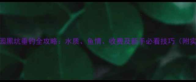 图片 渔乐公园黑坑垂钓全攻略：水质、鱼情、收费及新手必看技巧（附实拍图）