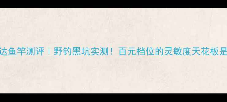 图片 爱易达鱼竿测评｜野钓黑坑实测！百元档位的灵敏度天花板是它？