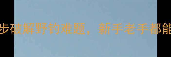 图片 生口鲤鱼必看！3步破解野钓难题，新手老手都能爆护的实战攻略1