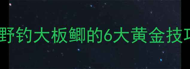 图片 用肉钓鲫鱼：野钓大板鲫的6大黄金技巧与实战配方2