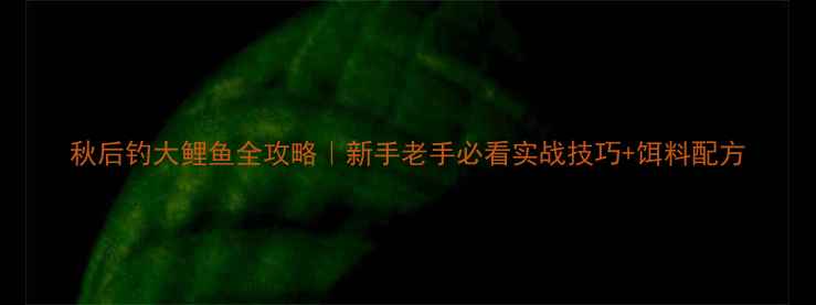 图片 秋后钓大鲤鱼全攻略｜新手老手必看实战技巧+饵料配方