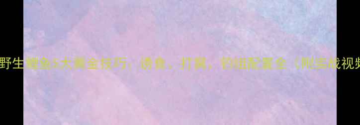 图片 秋季野钓野生鲤鱼5大黄金技巧：诱食、打窝、钓组配置全（附实战视频链接）2