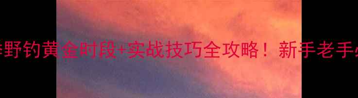 图片 秋季野钓黄金时段+实战技巧全攻略！新手老手必看