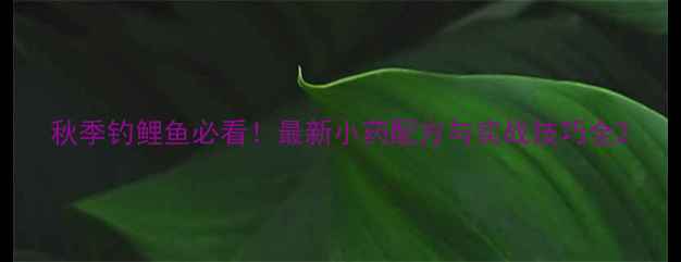 图片 秋季钓鲤鱼必看！最新小药配方与实战技巧全2