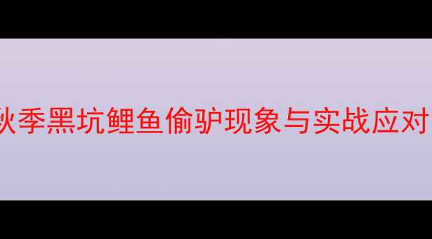 图片 秋季黑坑鲤鱼偷驴现象与实战应对1
