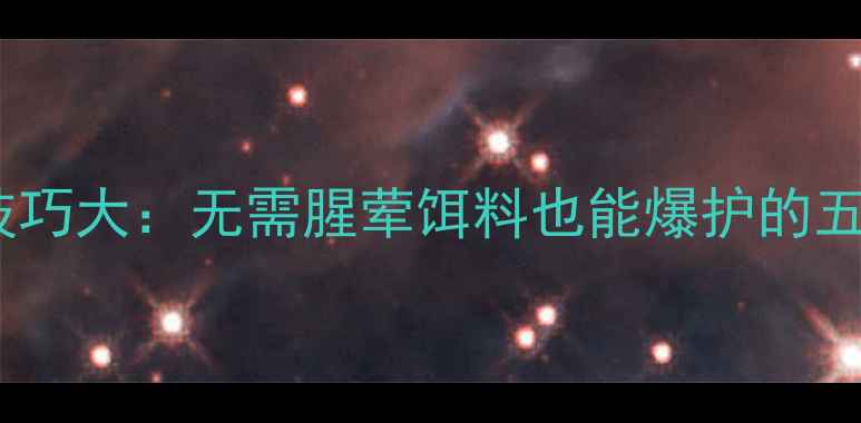 图片 纯技巧钓鱼技巧大：无需腥荤饵料也能爆护的五大核心方法1