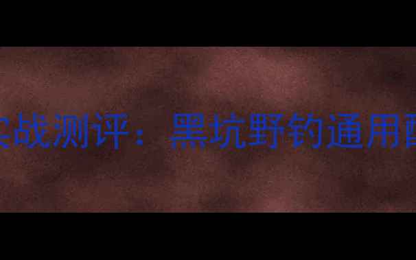 图片 老鬼大师2号鱼饵实战测评：黑坑野钓通用配方｜钓鱼人必看2