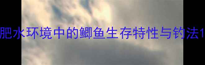 图片 肥水环境中的鲫鱼生存特性与钓法1