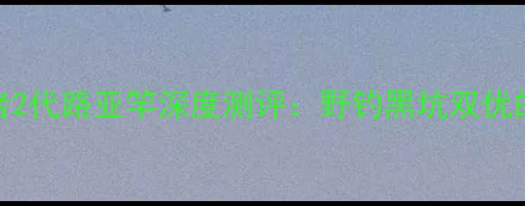 图片 蓝旗鱼胜者2代路亚竿深度测评：野钓黑坑双优的硬核装备