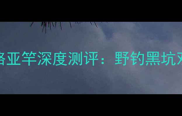 图片 蓝旗鱼胜者2代路亚竿深度测评：野钓黑坑双优的硬核装备1