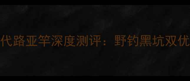 图片 蓝旗鱼胜者2代路亚竿深度测评：野钓黑坑双优的硬核装备2