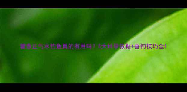 图片 藿香正气水钓鱼真的有用吗？5大科学依据+垂钓技巧全1