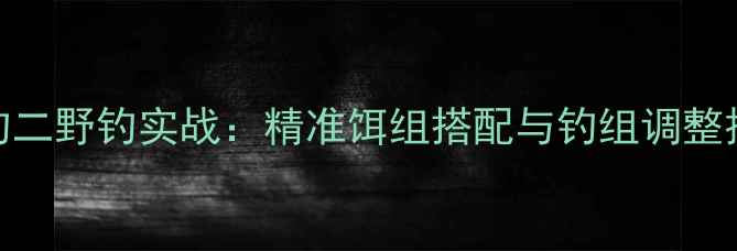 图片 调四钓二野钓实战：精准饵组搭配与钓组调整技巧全
