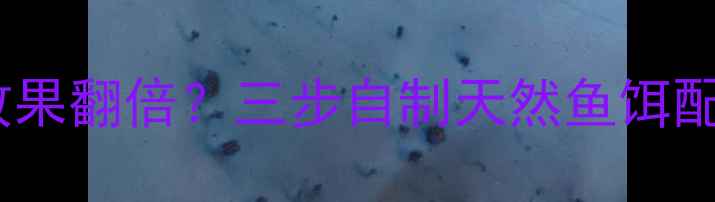 图片 豆浆机钓鲫鱼效果翻倍？三步自制天然鱼饵配方+垂钓技巧全