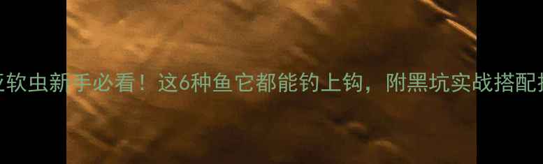 图片 路亚软虫新手必看！这6种鱼它都能钓上钩，附黑坑实战搭配技巧