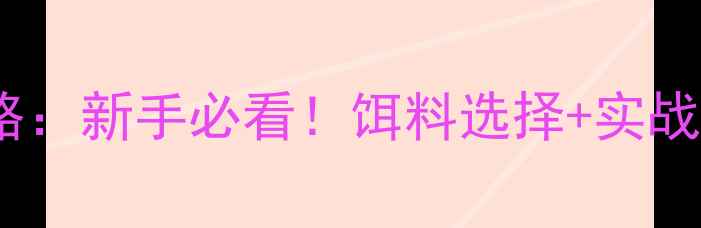 图片 路亚钓底技巧全攻略：新手必看！饵料选择+实战教学+常见问题解答
