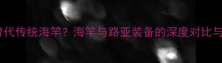 图片 路亚钓法能否替代传统海竿？海竿与路亚装备的深度对比与实战应用指南1