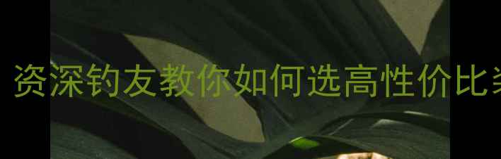 图片 路亚饵价格差距大？资深钓友教你如何选高性价比装备（附选购指南）