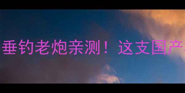 图片 达瓦霸璃亚鱼竿评测｜垂钓老炮亲测！这支国产竿凭什么成野钓神器？