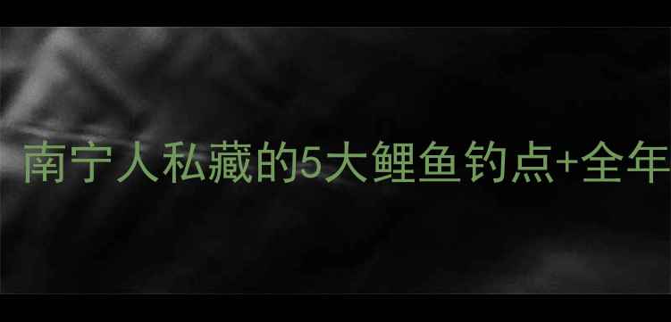 图片 邕江钓鱼必看！南宁人私藏的5大鲤鱼钓点+全年最佳出钓时间1