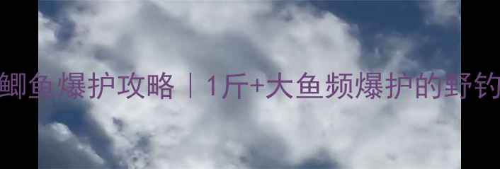 图片 野生鲫鱼爆护攻略｜1斤+大鱼频爆护的野钓技巧