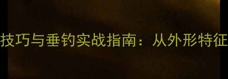 图片 野生鲫鱼识别技巧与垂钓实战指南：从外形特征到作钓策略全