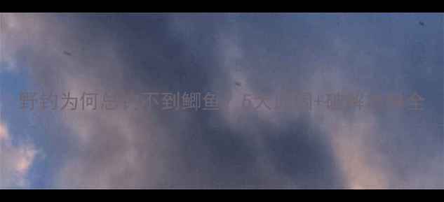 图片 野钓为何总钓不到鲫鱼？5大原因+破解攻略全