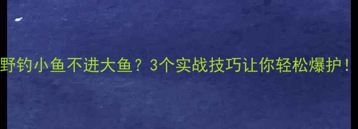 图片 野钓小鱼不进大鱼？3个实战技巧让你轻松爆护！