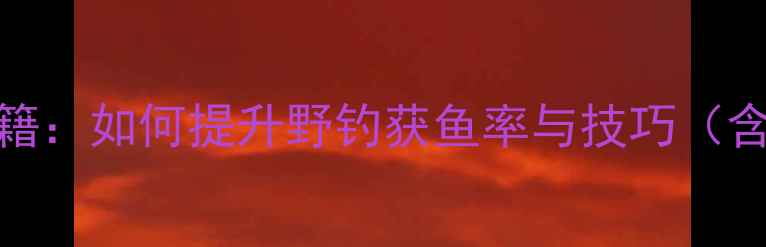 图片 野钓小黄面使用秘籍：如何提升野钓获鱼率与技巧（含配方与实战案例）