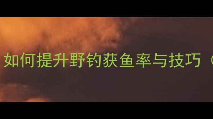图片 野钓小黄面使用秘籍：如何提升野钓获鱼率与技巧（含配方与实战案例）1