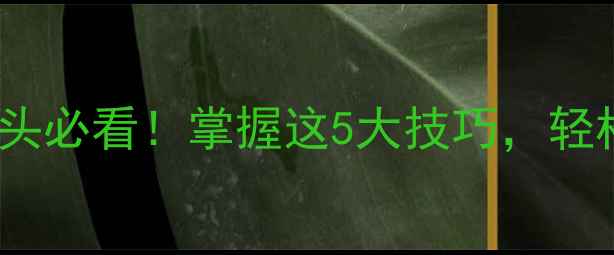图片 野钓早上鱼浮头必看！掌握这5大技巧，轻松爆护不空军1