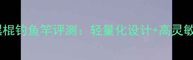 图片 野钓神器！特价19调碳纤维黑棍钓鱼竿评测：轻量化设计+高灵敏度，野战bass鱼情轻松掌控1