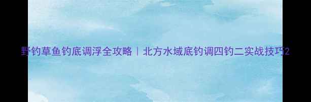 图片 野钓草鱼钓底调浮全攻略｜北方水域底钓调四钓二实战技巧2