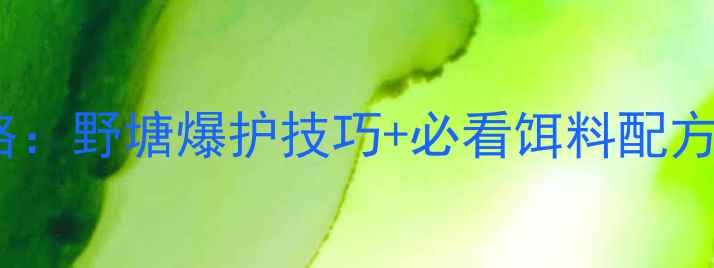 图片 野钓鲤鱼全攻略：野塘爆护技巧+必看饵料配方，新手必看！1