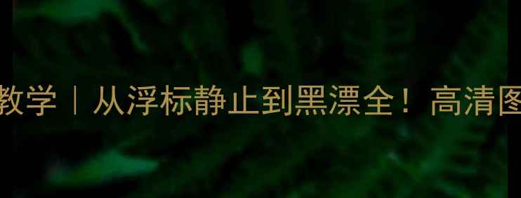 图片 野钓鲤鱼实战教学｜从浮标静止到黑漂全！高清图解+调漂口诀1