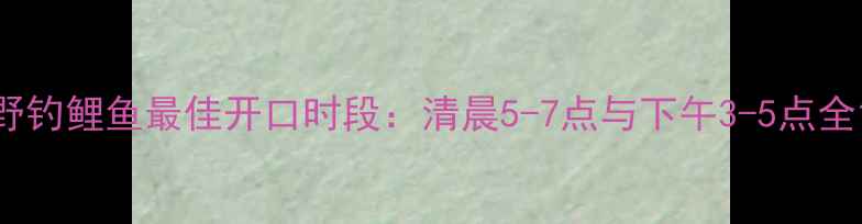 图片 野钓鲤鱼最佳开口时段：清晨5-7点与下午3-5点全1