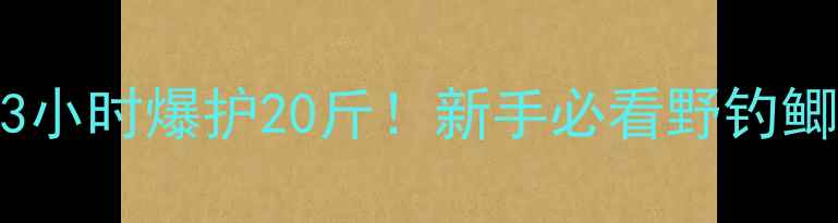 图片 野钓鲫鱼实战技巧｜3小时爆护20斤！新手必看野钓鲫鱼全攻略（附配方）