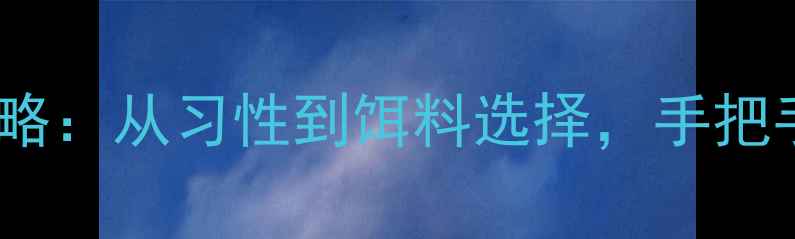 图片 野钓鲶鱼实战技巧全攻略：从习性到饵料选择，手把手教你轻松捕获大鲶鱼1